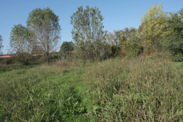 Immobile in asta di 2383 m² in vendita a Inzago - Foto 4