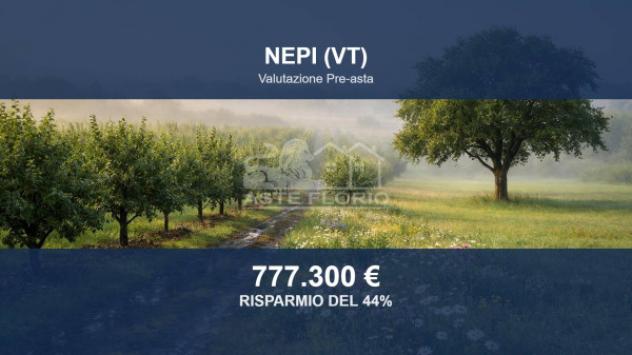 Immobile in asta di 746300 m² in vendita a Nepi
