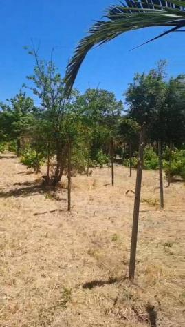 Terreno in vendita a Rosolini - Foto 7