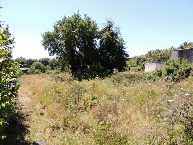 Agricolo in affitto a Tremestieri Etneo - Foto 3