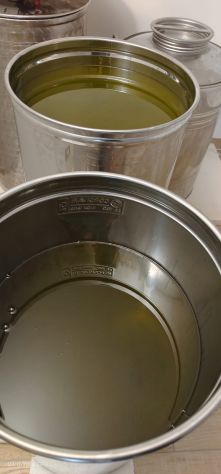Olio extravergine di oliva senza insetticidi artigianale Abruzzo annata 2023 - Foto 4