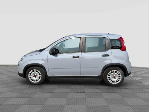 FIAT Panda Panda 1.0 FireFly Hybrid City Life rif. 24026722 - Foto 2