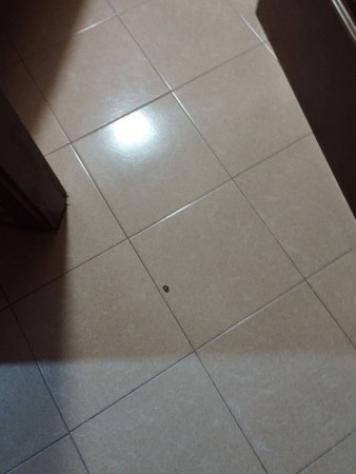 Immobile in asta di 83 m² in vendita a Catanzaro - Foto 9