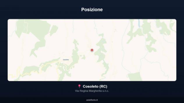 Immobile in asta di 264 m² con più di 5 locali e box auto in vendita a Cosoleto - Foto 17