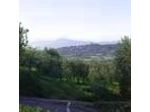 Il Gelsomino B&B