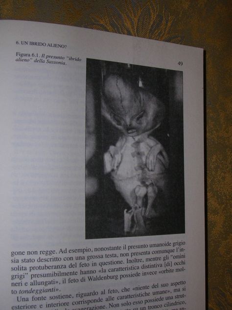 CRONACHE DEL MISTERO - Foto 5