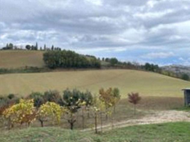 Immobile in asta di 36120 m² in vendita a Montottone - Foto 2