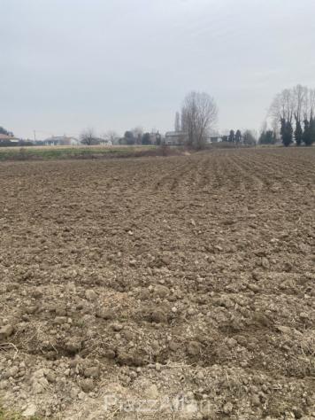 Terreno a Sant'Angelo di Piove di Sacco - Rif. SPDS16 - Foto 3