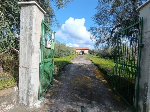 immagine annuncio 0 di 15