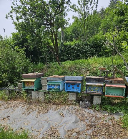 Apicoltura, casette e melari - Foto 2