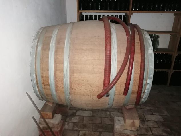 Botte in rovere da 500 l - Foto 4