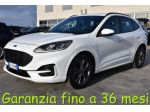 FORD Kuga 1.5 EcoBlue 120 CV aut. 2WD ST-Line rif. 22728067