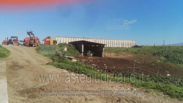 IMMOBILI-ALTRA CATEGORIA-Via Consolare Latina, 68 - Foto 5