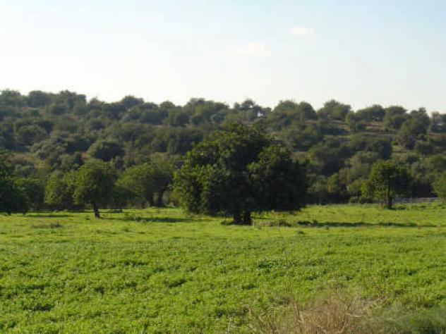 Agricolo in vendita a Floridia - Foto 4