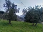 VENDESI