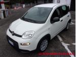 FIAT Panda 1.0 FireFly S&S Hybrid rif. 24148647