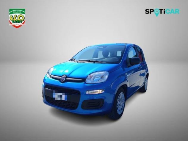 FIAT Panda 1.0 FireFly S&S Hybrid+GPL rif. 24175669