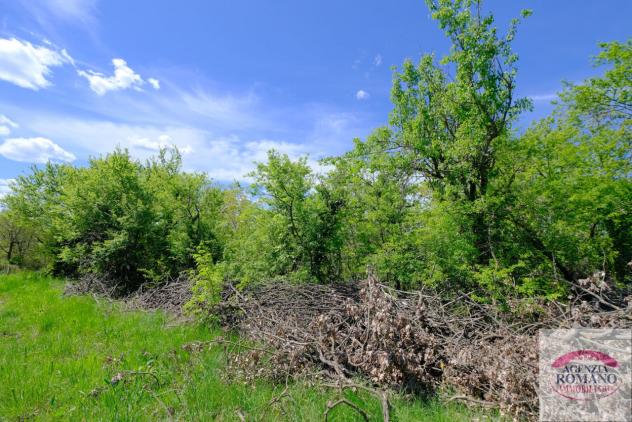 Rustico in vendita a Giusvalla - Foto 11