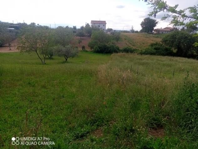 Uliveto in vendita a Lanciano - Foto 10