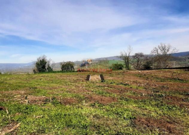 Orvieto - Vendesi Casale da ristrutturare con 1,5 ha di terreno nelle immediate vicinanze di Orvieto - Foto 6