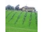 B&B Frutti Antichi