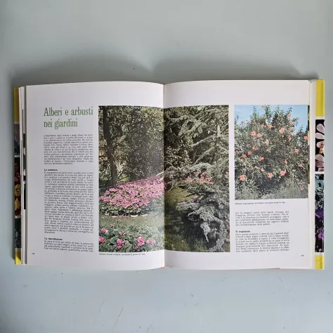 Terrazze e Giardini - Guida Pratica al Giardinaggio - European Book - 1991 - Foto 7