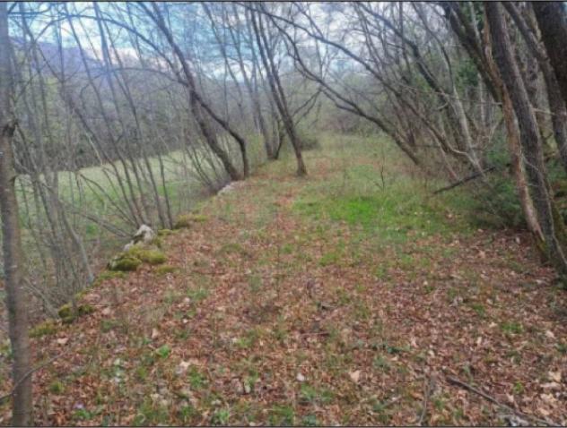 Immobile in asta di 8923 m² in vendita a Rovereto - Foto 11