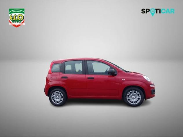 FIAT Panda 1.0 FireFly S&S Hybrid+GPL rif. 24175533 - Foto 4