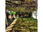 Bungalows Alloggi Angiolin Ketty