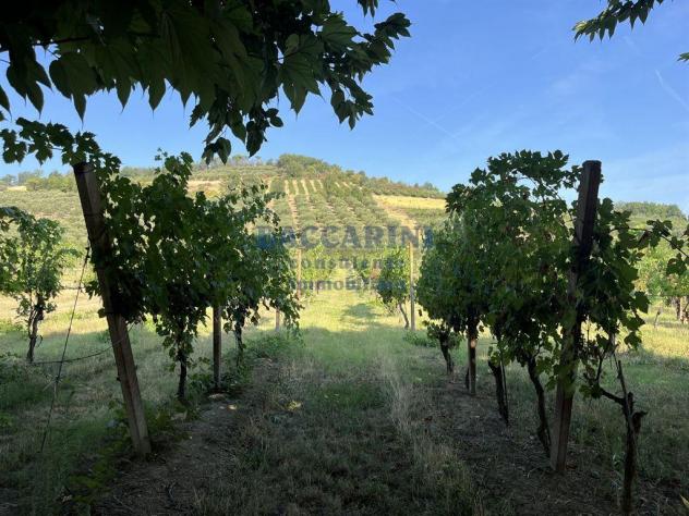 FONDO AGRICOLO CANOVA - BRISIGHELLA VIA FAENTINA VICINO AL CIVICO 95 - Foto 3