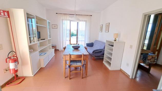 appartamento in affitto a Rosignano Marittimo in zona Castiglioncello