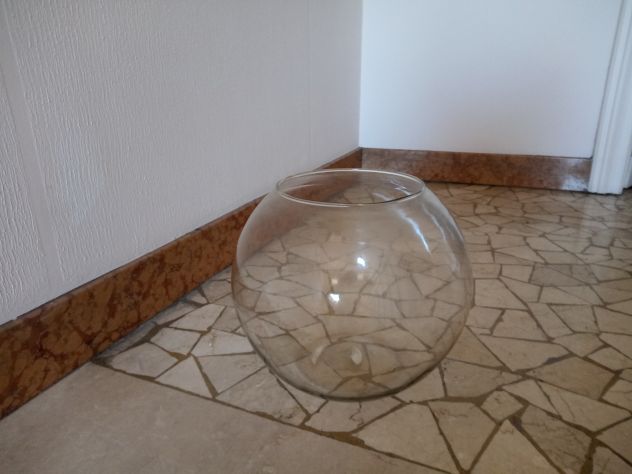 Boccia per pesci o terrario - Foto 4