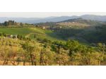 VICCHIO COLONICA MQ 400 TERRENO 3 HA