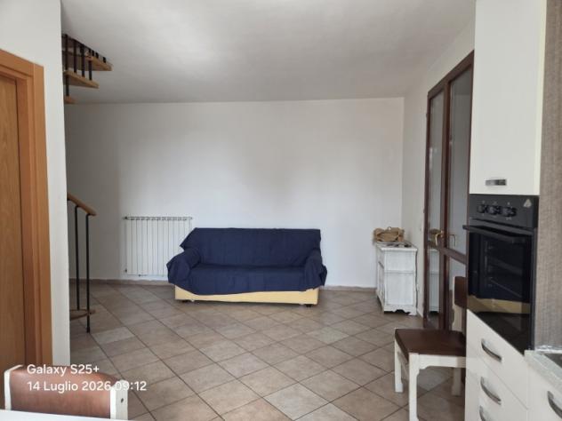 Fusignano (RA): - Foto 5