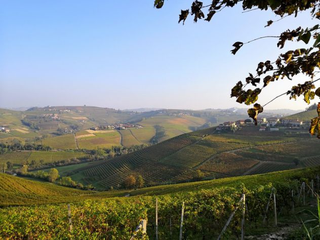- Monferrato - Langhe - Roero - - Foto 2