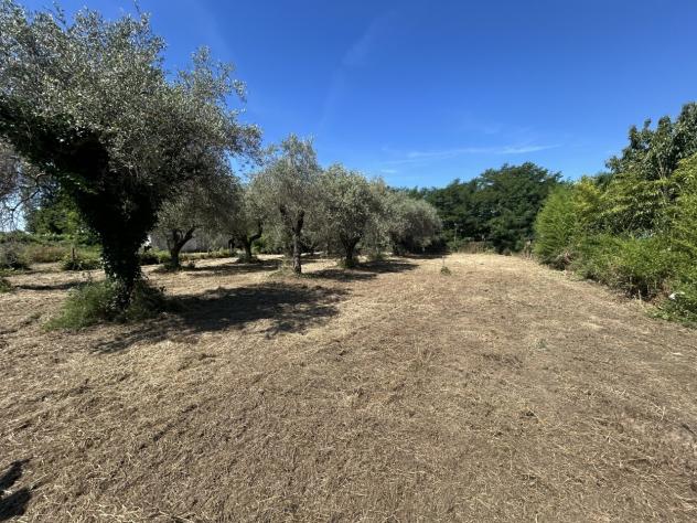Terreno edificabile in vendita a Luni - Foto 10