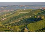 Barbera e Altro - Solo Vigna
