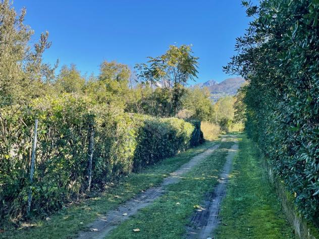 TERRENO AGRICOLO di 6980 mq (PIETRASANTA - Fiumetto) rif. 172/VE - Foto 5