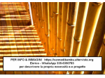 Canne di bambù bambu bamboo