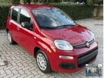 FIAT - Panda - 1.0 FireFly S&S Hybrid Launch Ed.
