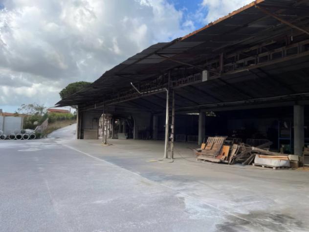 Immobile in asta di 2520 m² con più di 5 locali in vendita a Latina - Foto 4