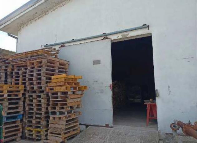 Immobile in asta di 4814 m² in vendita a Roncoferraro - Foto 7