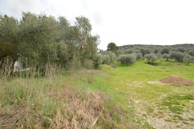 Porzione di casa in vendita a Grosseto - Foto 3