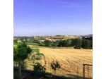 Abbadia 14