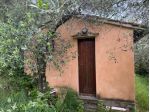 Annesso agricolo in vendita a Calci 30 mq  Rif: 1402653
