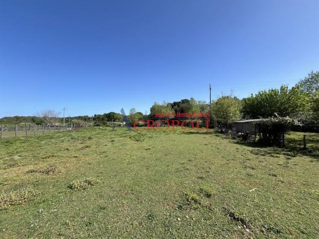 Terreno di 2300 mq in località Mola Vecchia - Foto 4
