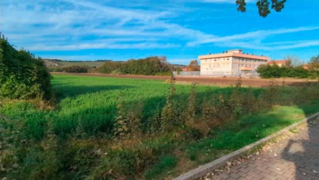 Immobile in asta di 5191 m² in vendita a Mondolfo - Foto 3