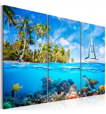 Quadro La Barca E La Tartaruga - ARREDALACASA