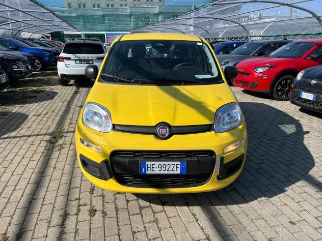 FIAT Pandina Pandina 1.0 firefly hybrid Icon s&s 65cv - Foto 2