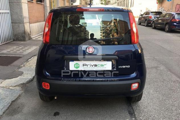 FIAT Panda Panda 1.0 FireFly S&S Hybrid - Foto 6